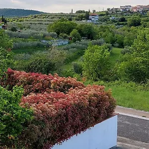 Aliana Appartement